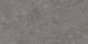 Плитка Kerama Marazzi Марсель серый глянцевый рект. (60х119,5) арт. KM6012B0310R